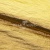 Текстильный материал "Диско"#1805 с покрытием РЕТ, 40гр/м2, 100% полиэстер, цв.5-золото - купить в Вологде. Цена 412.36 руб.