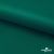 Ткань подкладочная Таффета, 19-5420, 53 г/м2, антистатик, шир. 150 см, вечнозеленый - купить в Вологде. Цена 57.16 руб.