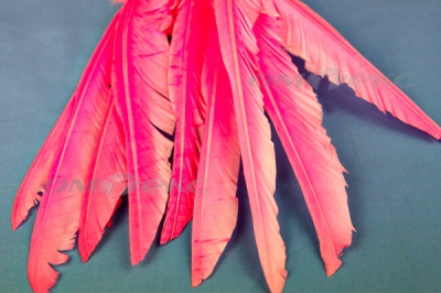 Декоративный Пучок из перьев, перо 25см/розовый - купить в Вологде. Цена: 14.40 руб.