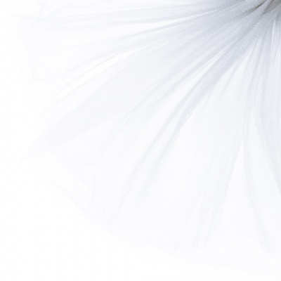 Трикотажное полотно Тюль Кристалл, 100% полиэфир, 16-01/белый, 15гр/м2, шир.160см. - купить в Вологде. Цена 129.70 руб.