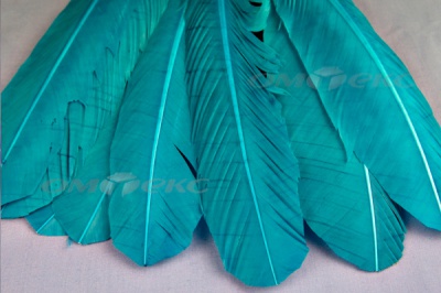 Декоративный Пучок из перьев, перо 24см/голубой - купить в Вологде. Цена: 12.19 руб.
