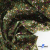 Ткань костюмная «Микровельвет велюровый принт», 220 г/м2, 97% полиэстр, 3% спандекс, ш. 150См Цв  #9 - купить в Вологде. Цена 439.76 руб.