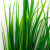 Трава искусственная -2, шт (осока 41см/8 см)				 - купить в Вологде. Цена: 104.57 руб.