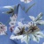 Плательная ткань "Фламенко" 12.1, 80 гр/м2, шир.150 см, принт растительный - купить в Вологде. Цена 241.49 руб.