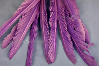 Декоративный Пучок из перьев, перо 25см/фиолетовый - купить в Вологде. Цена: 12.19 руб.