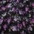 Плательная ткань "Фламенко" 20.1, 80 гр/м2, шир.150 см, принт растительный - купить в Вологде. Цена 241.49 руб.