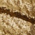 Сетка с пайетками №3, 188 гр/м2, шир.140см, цвет золотой - купить в Вологде. Цена 454.12 руб.