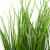 Трава искусственная -4, шт  (осока 50 см/8 см  7 листов)				 - купить в Вологде. Цена: 130.73 руб.