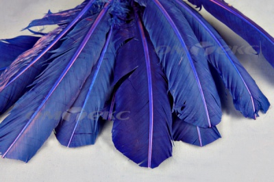 Декоративный Пучок из перьев, перо 23см/синий - купить в Вологде. Цена: 12.34 руб.