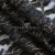 Кружевное полотно XD LACE 1-4, 80 гр/м2, шир.150см, цвет чёрный - купить в Вологде. Цена 245.94 руб.